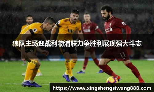 狼队主场迎战利物浦联力争胜利展现强大斗志